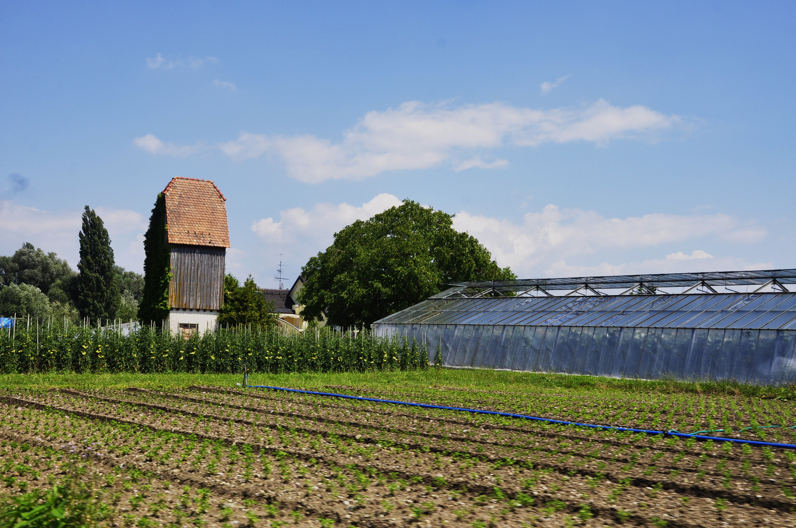 Ansichten auf der Insel Reichenau