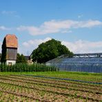 Ansichten auf der Insel Reichenau