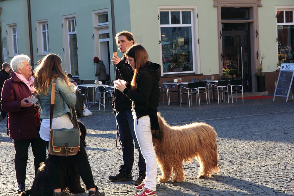 Ansichten aus Schwäbisch Gmünd- 34