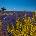 Ansichten der Provence