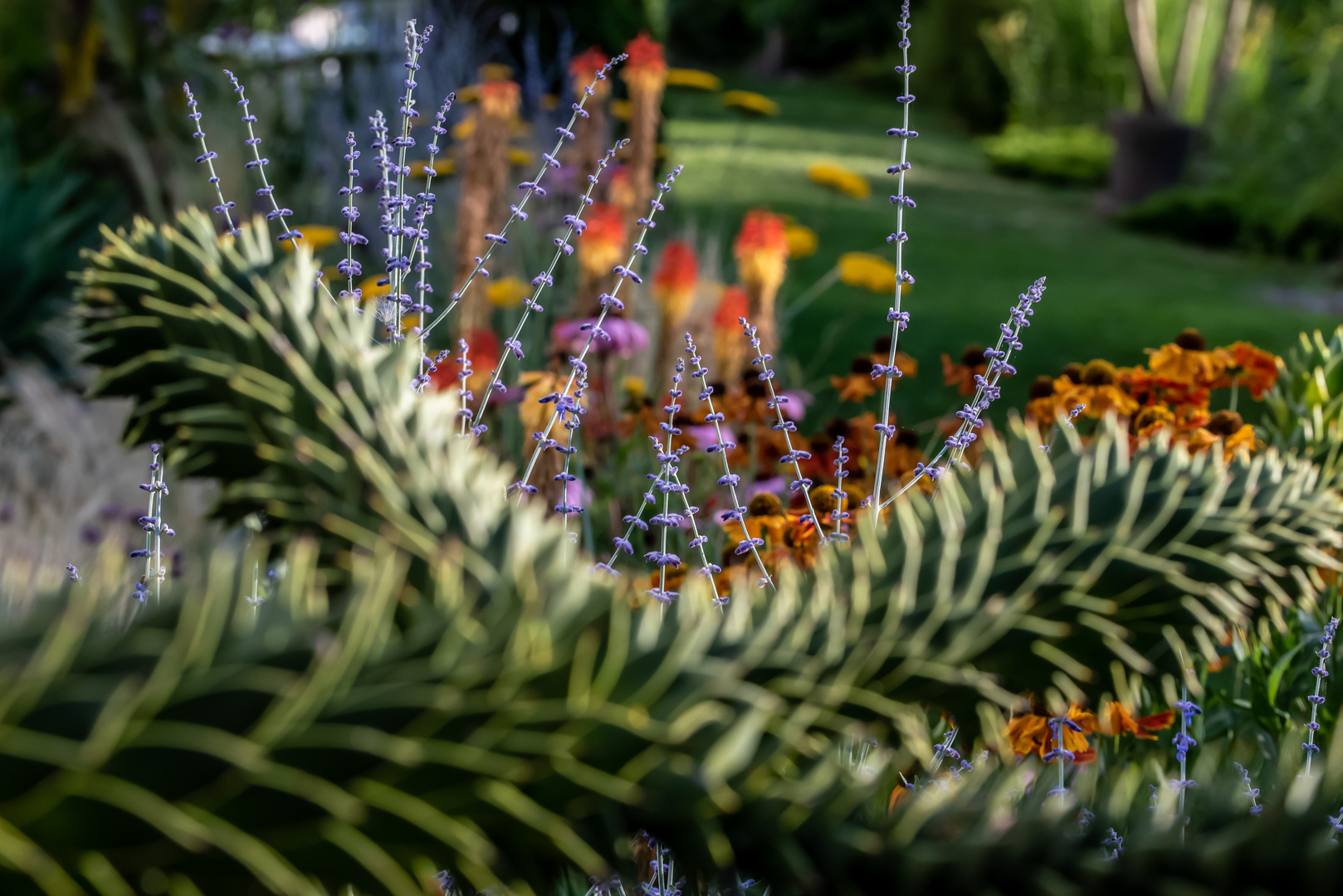 Ansichten im Park