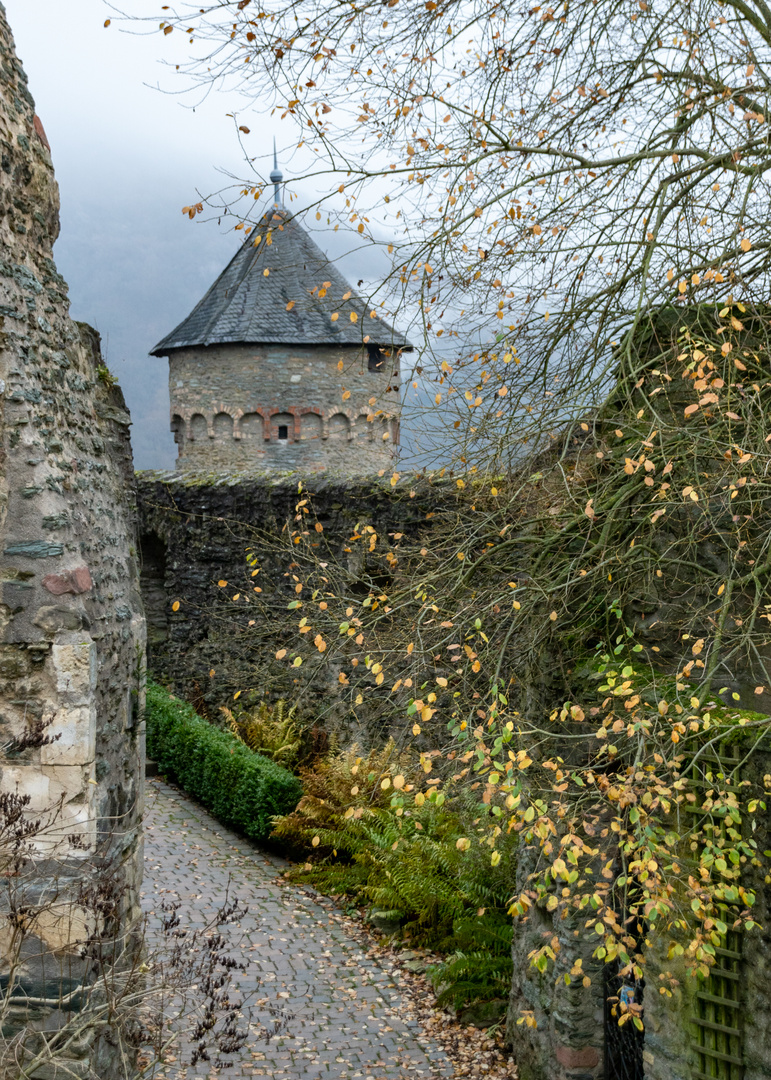 Ansichten rund um Burg Eppstein