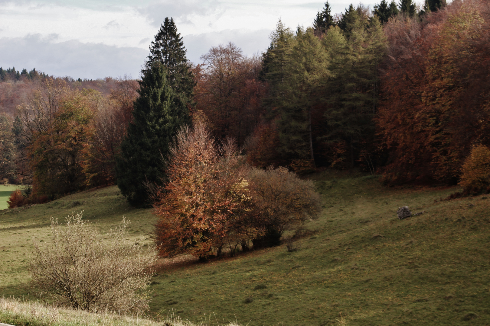 Ansichten rund um die schwäbische Alb