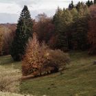 Ansichten rund um die schwäbische Alb