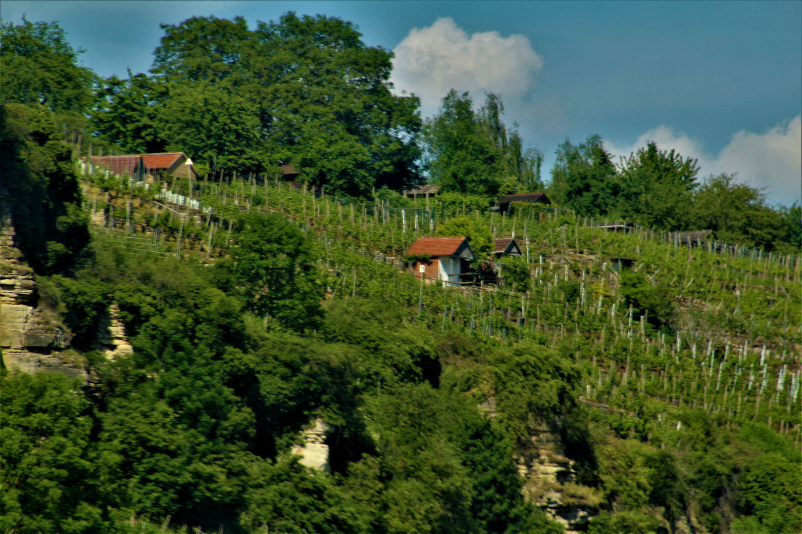 Ansichten rund um Marbach