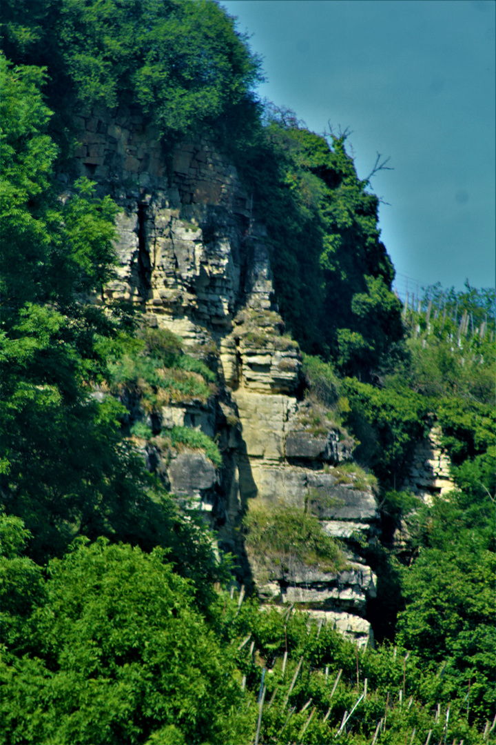 Ansichten rund um Marbach