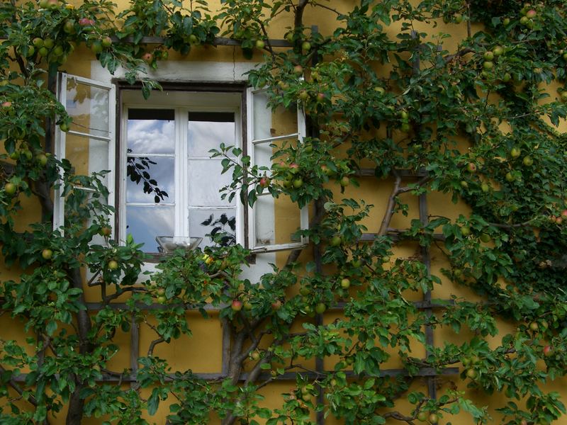 Ansichten Wurzelhof bei Langschlag