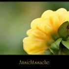 Ansichtssache