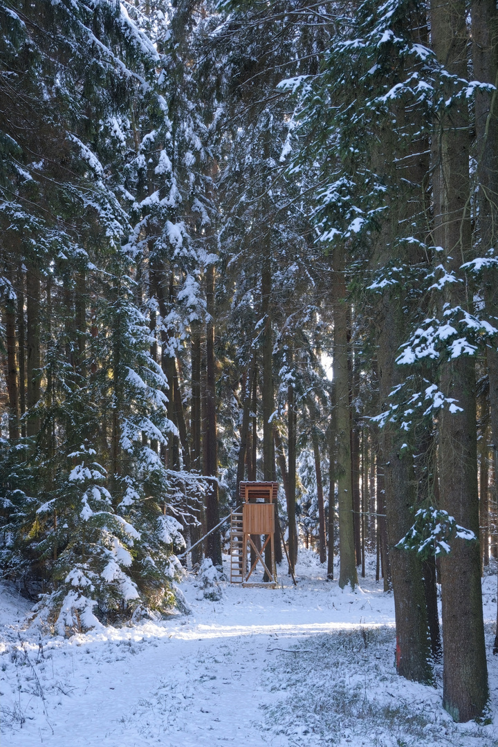 Ansitz im Winter