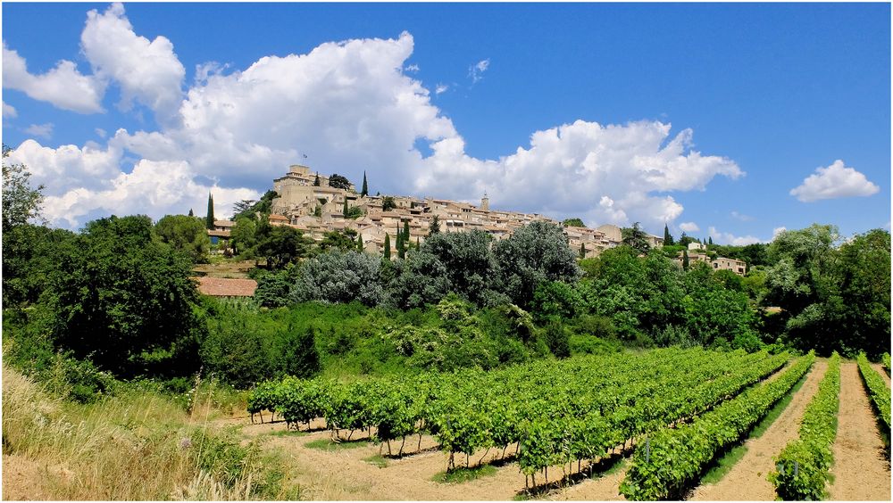 Ansouis dans les vignes...