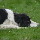 Anspannung vor dem Start