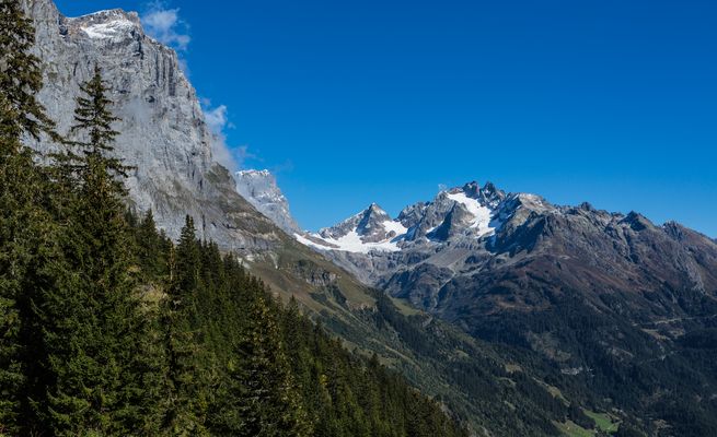 Anspruchsvolle Herbstwanderung