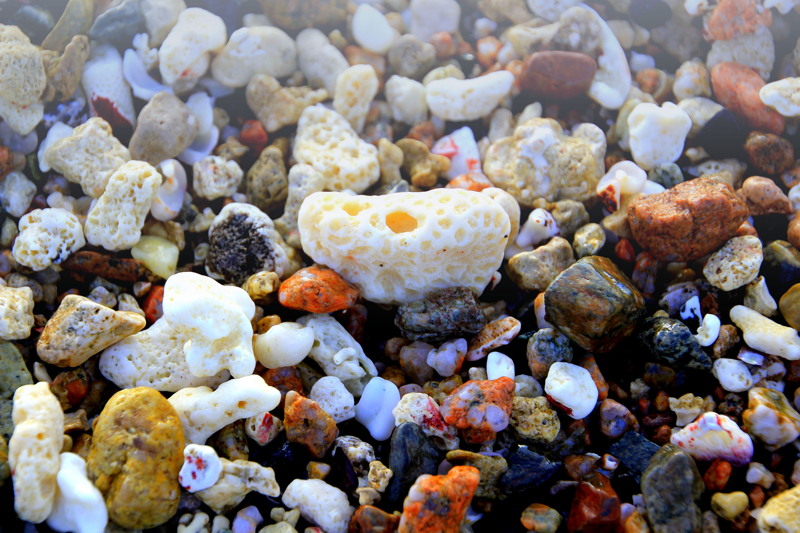 Anspülungen am Strand