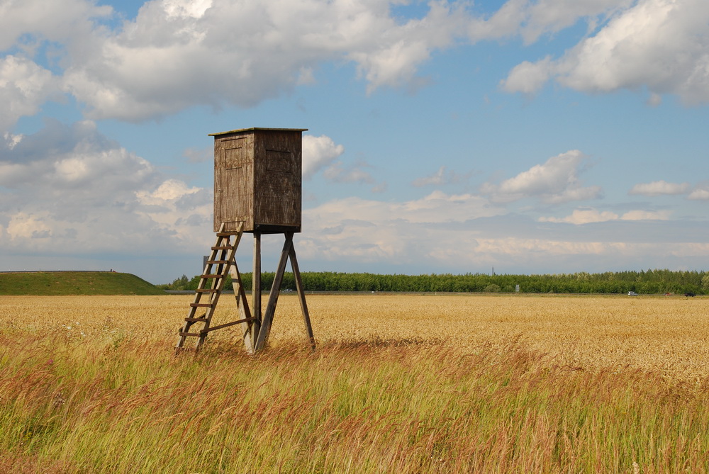 Anstand im Feld