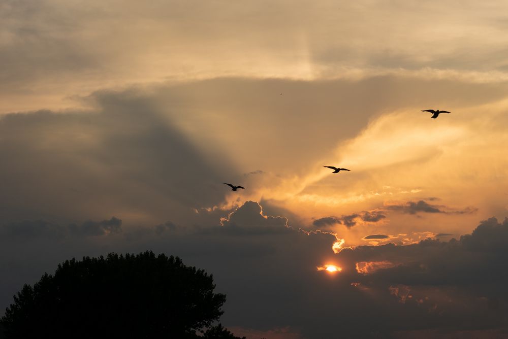 anstatt Blutmond ;-) -Sonnenuntergang am 27.07.2018 (2)