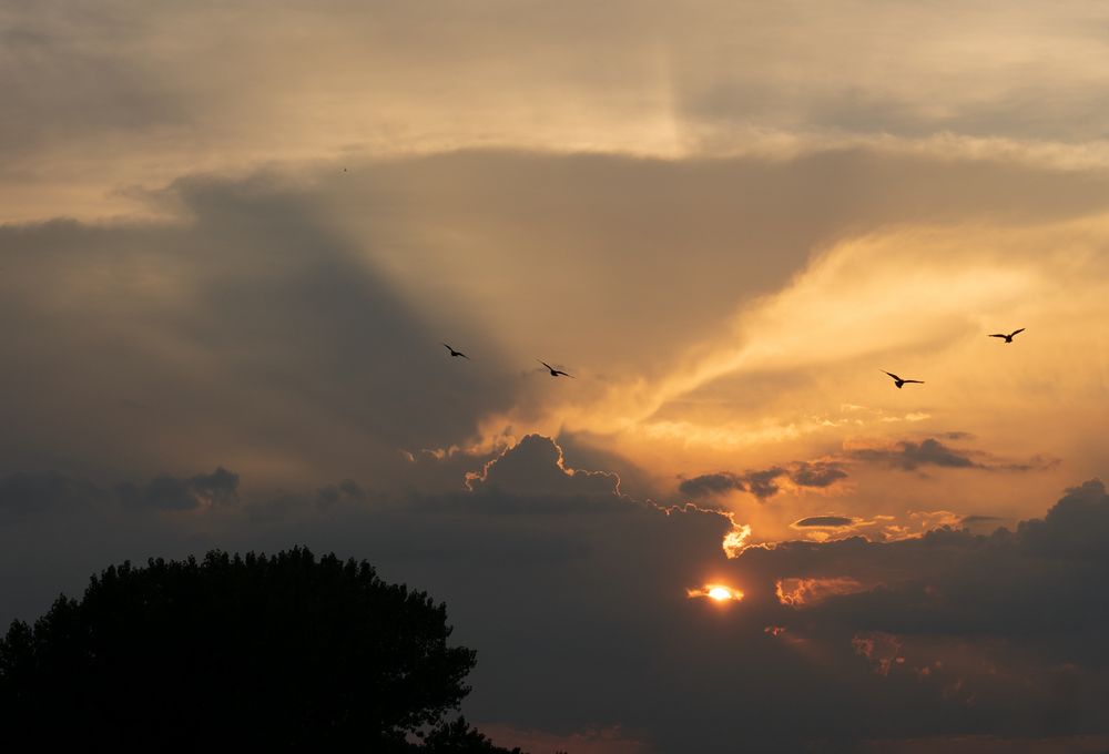 anstatt Blutmond ;-) -Sonnenuntergang am 27.07.2018