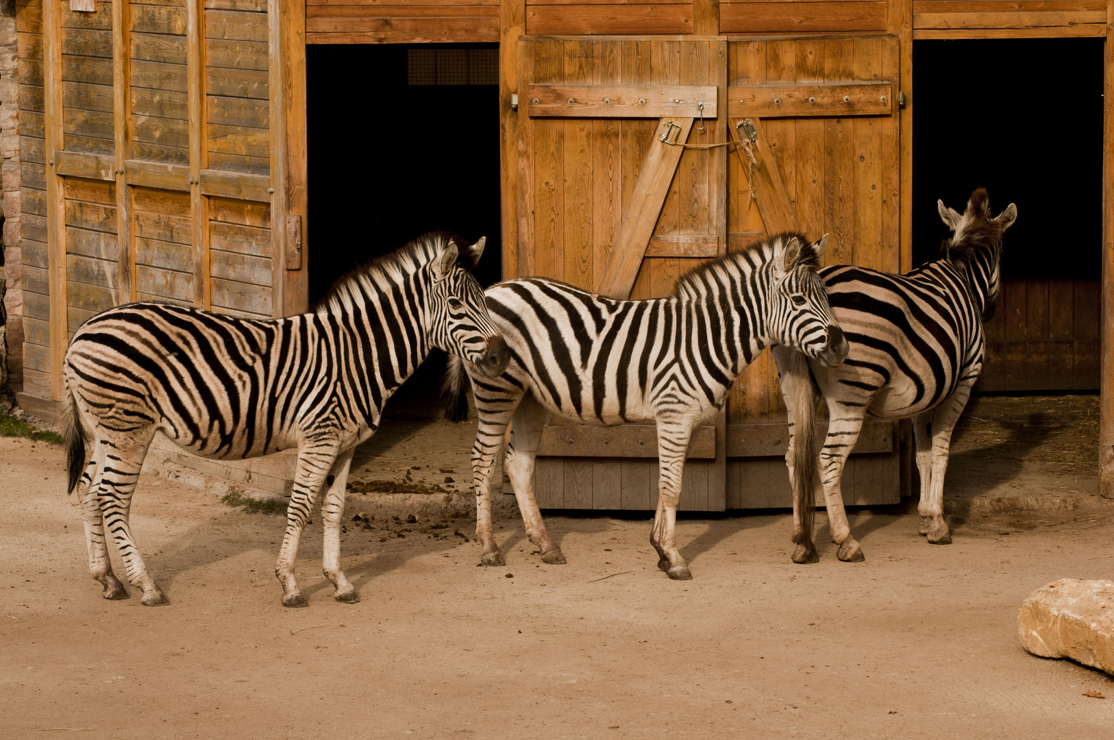 Anstehen im Zoo