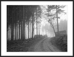 ansteigender Weg im Nebel