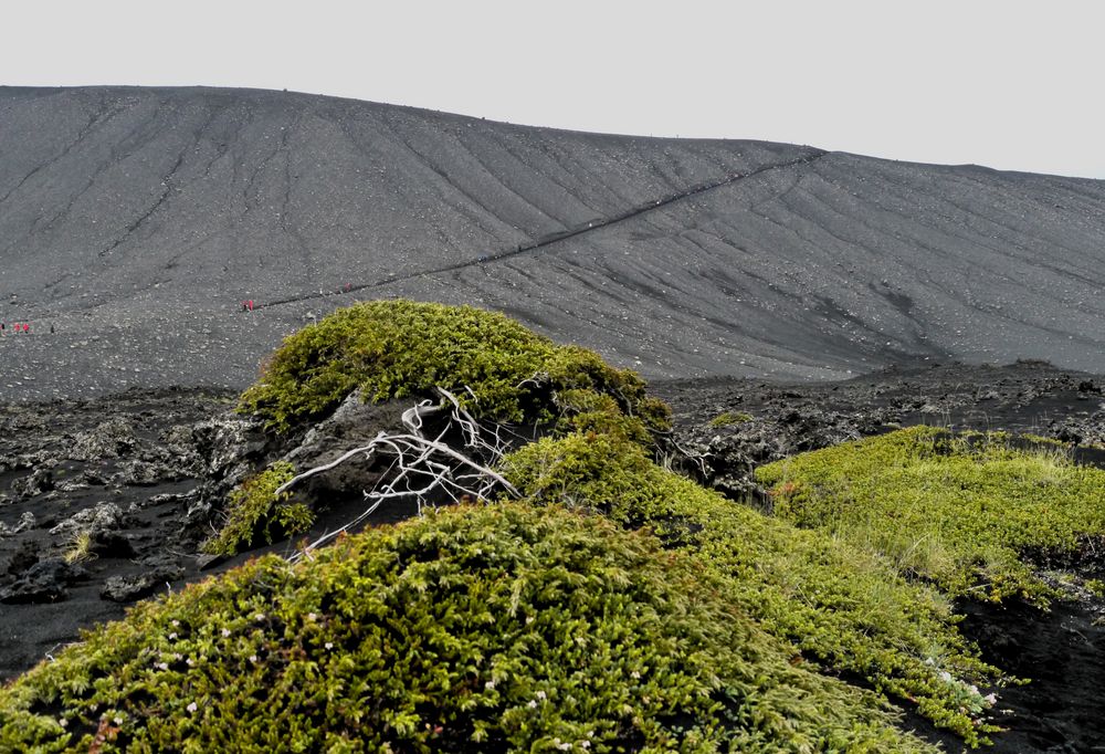 Anstieg zum Krater Hverfjall