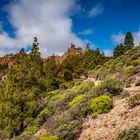 Anstieg zum Roque Nublo