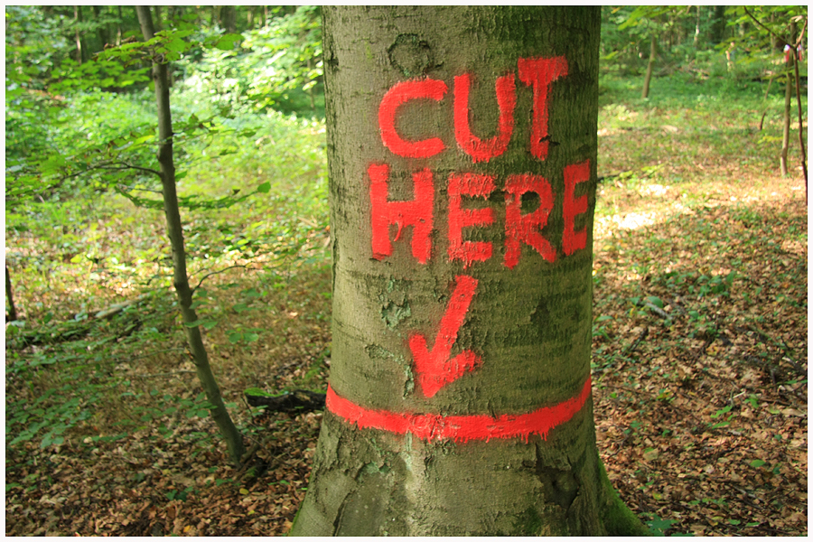 Anstiftung zum Waldsterben