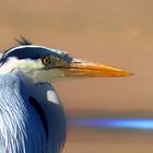 ANSTRUTHER