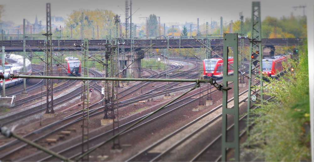 Ansturm auf Kassel-Wilhelmshöhe