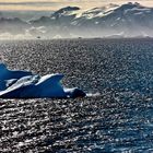 Antarctic Ice-Berg (3)