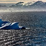 Antarctic Ice-Berg (3)