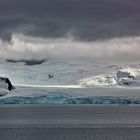 Antarctic Ice