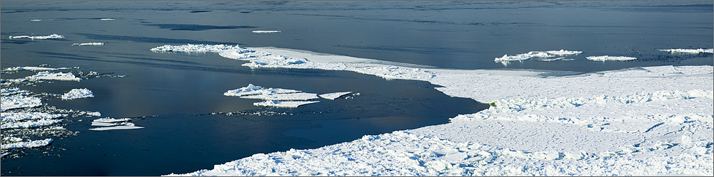 Antarctic ? no .. Baltic Sea