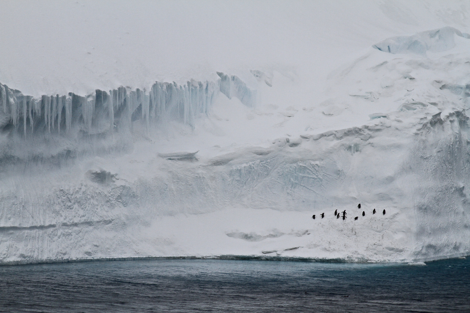 Antarctic Sound Foto & Bild landschaft, antarctica, poles Bilder auf