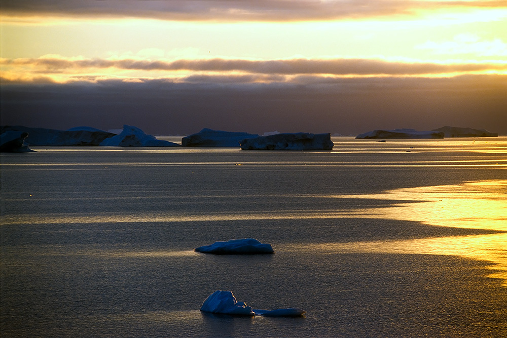 Antarctic Sound