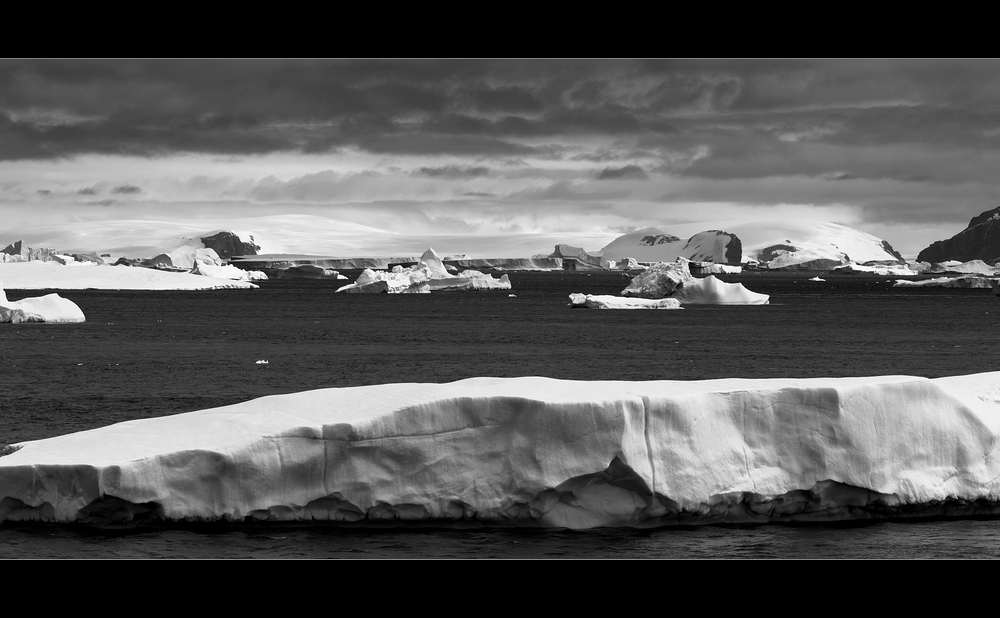 [ Antarctic Sound - B&W Edition ]