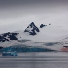 Antarctic Summer - pink snow