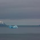 Antarctic Summer - so peaceful