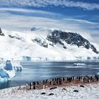 Antarctica