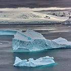 Antarctica - A Frozen World