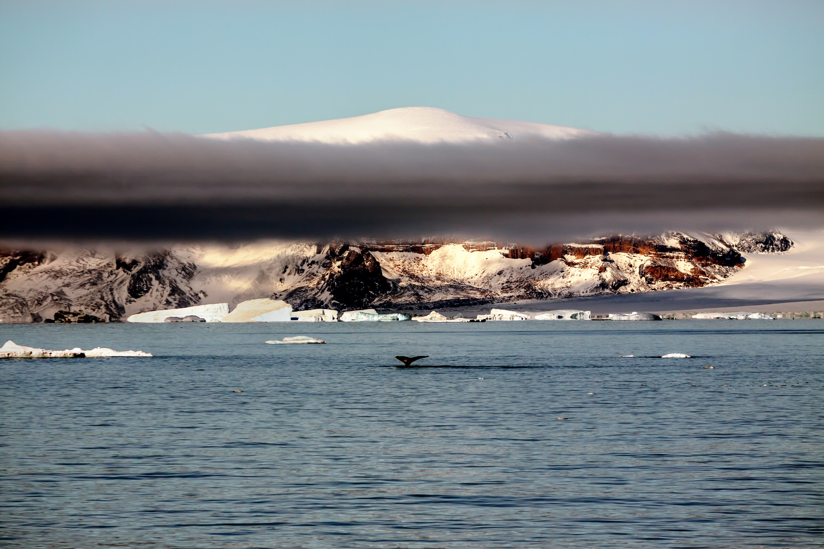 Antarctica