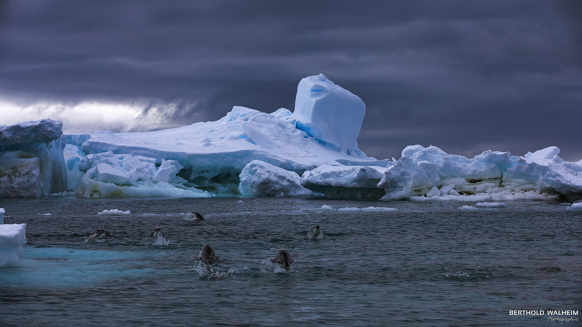 Antarctica