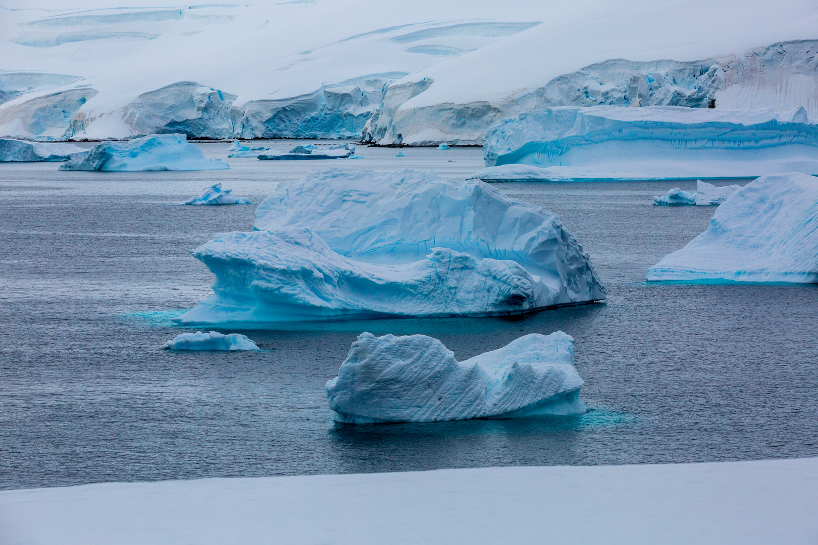 Antarctica