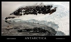 [ Antarctica • Neko Harbour ]