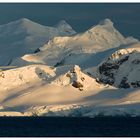 [ Antarctica • The White Continent ]