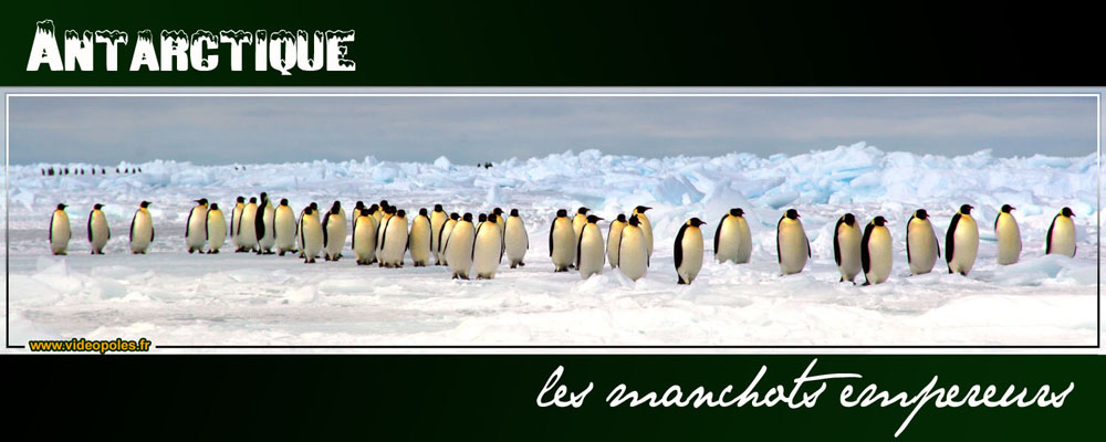 Antarctique, les marcheurs du pôle