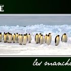 Antarctique, les marcheurs du pôle