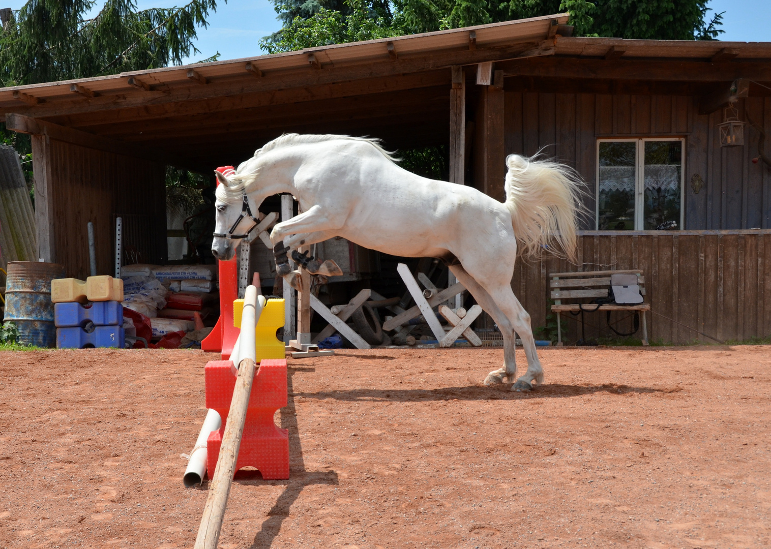 Antares beim Freispringen