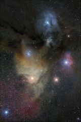 Antares Region - Rho Ophiuchi Nebel