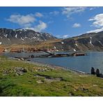 Antarktika [113] - Grytviken