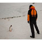 Antarktika [14] - Gegenüberstellung