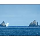Antarktika [23] - Shag Rocks
